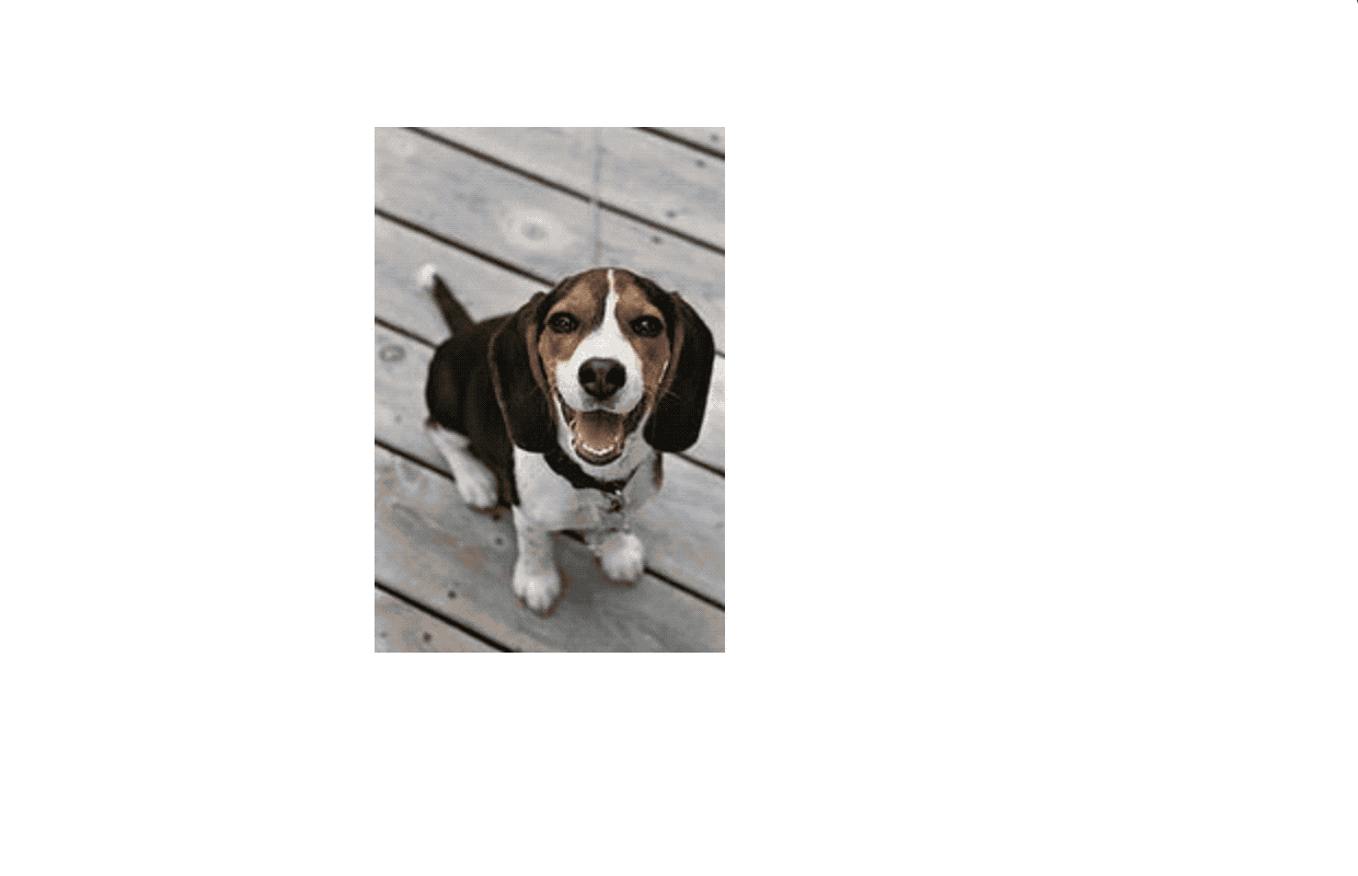 Image Slider